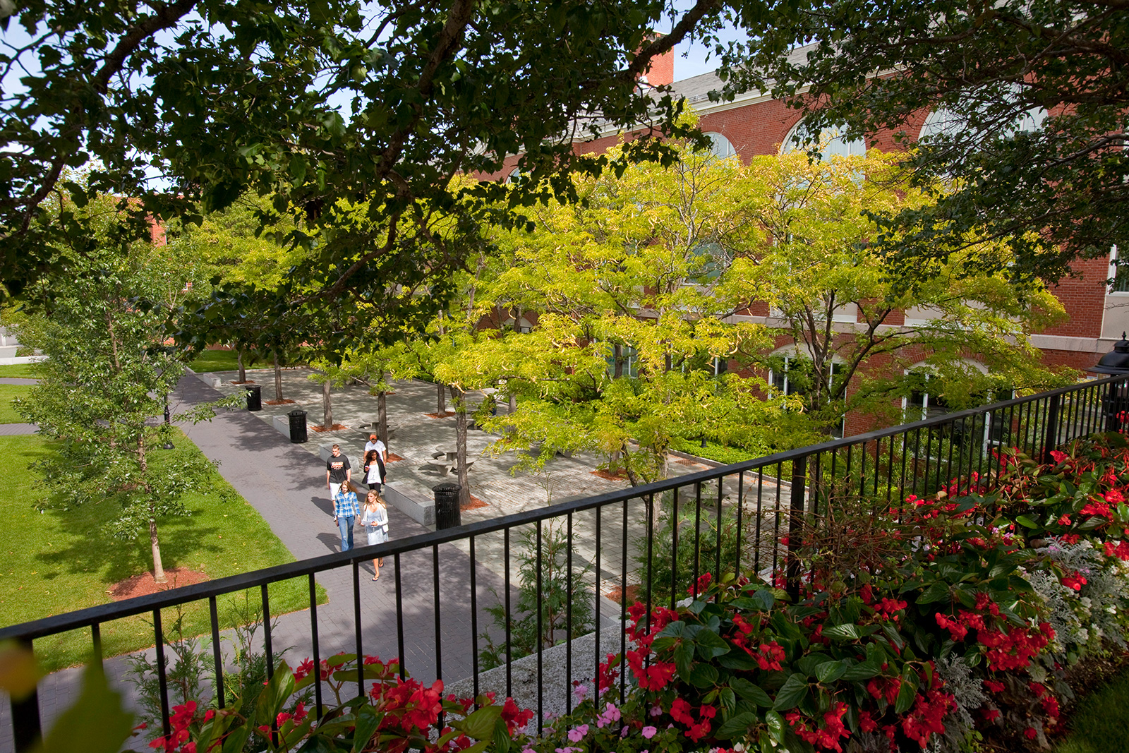 Office of Sustainability | Bentley University