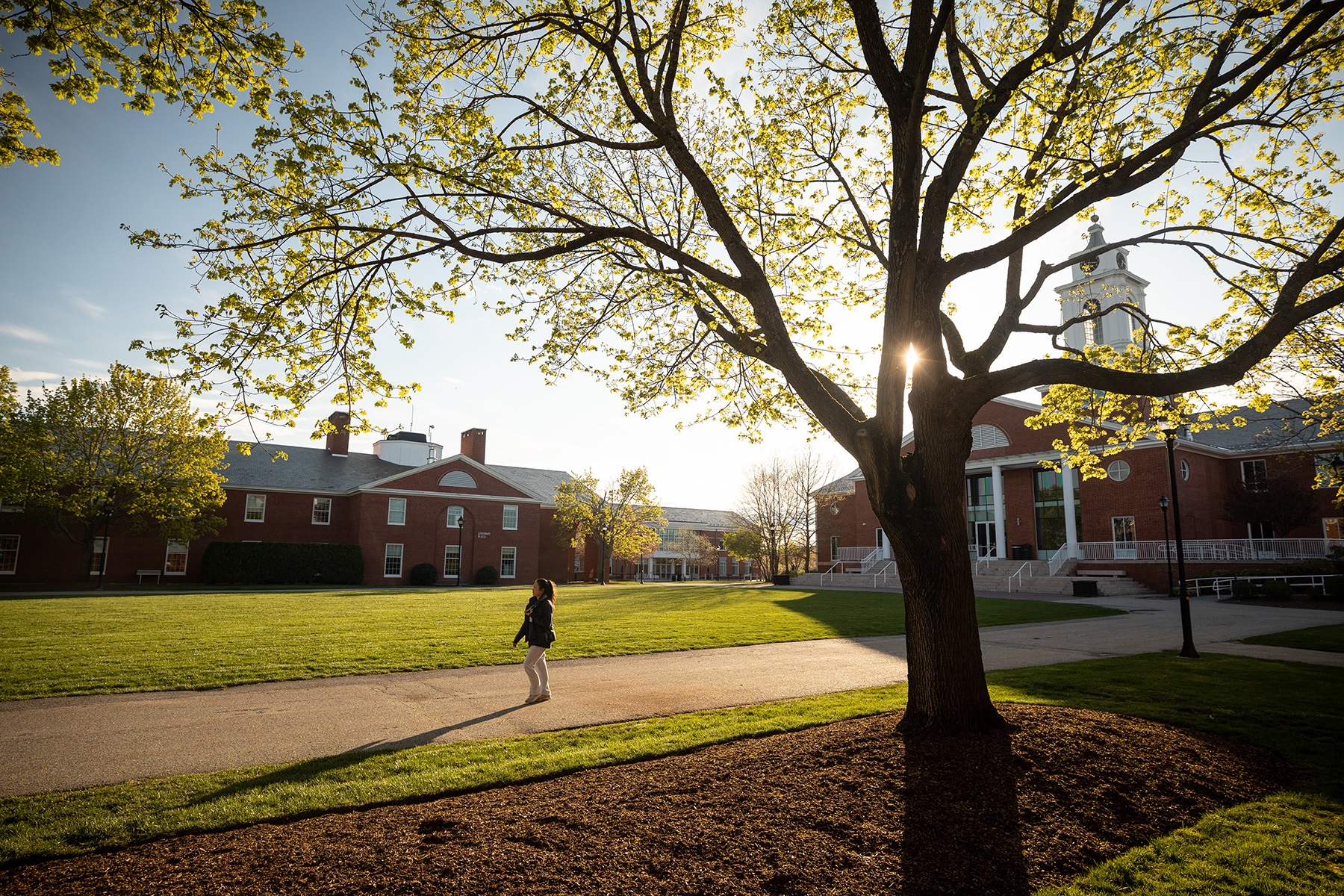 commencement home page bentley university