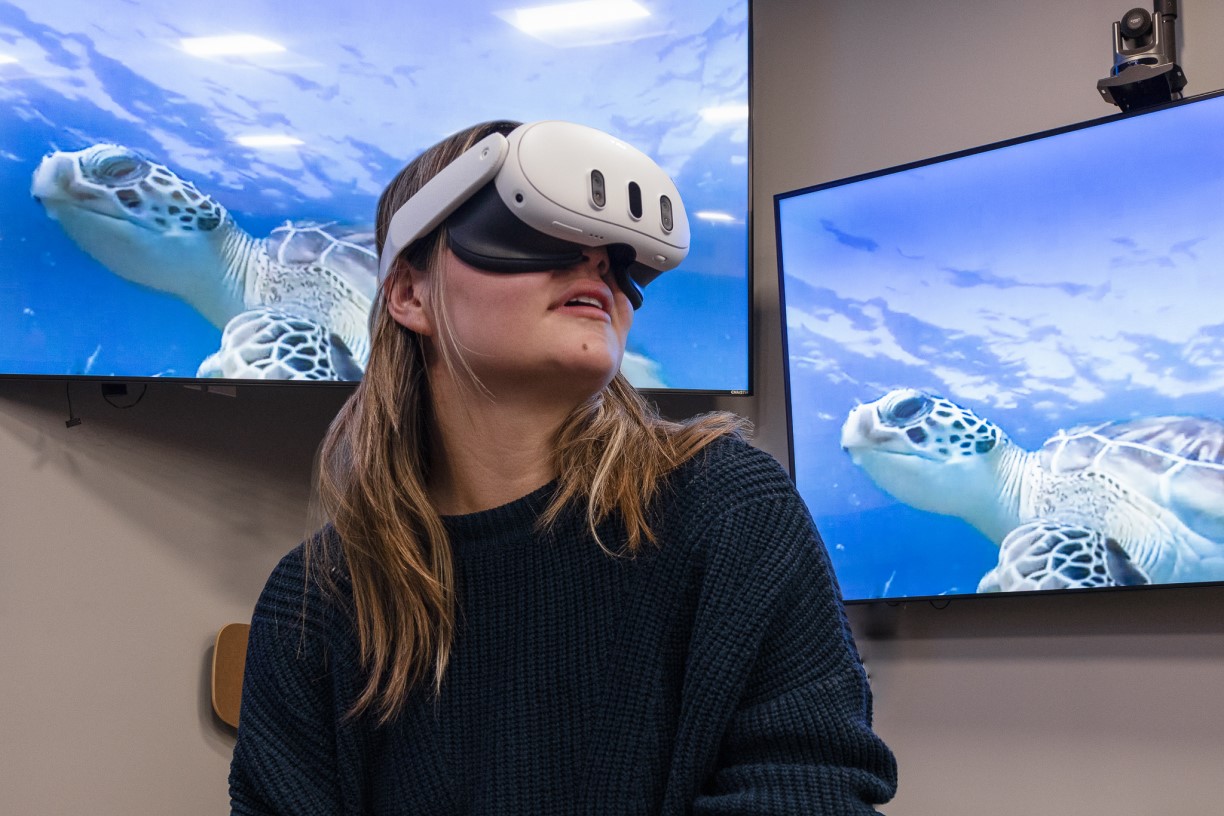 Caroline Chang ’24 sits in the foreground wearing VR googles; in the background, two large screens show identical images of what Caroline is seeing on the headset: a sea turtle swimming underwater.