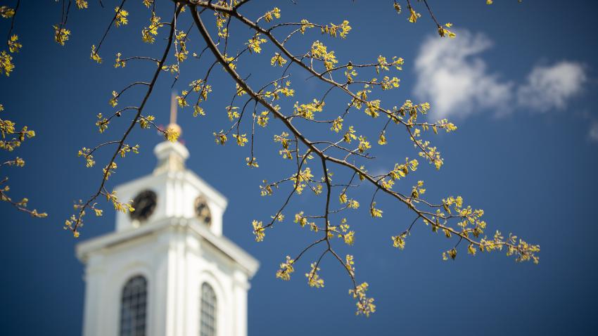 Bentley Library clocktower