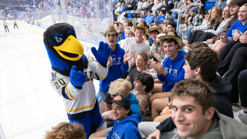 crowd at a hockey game