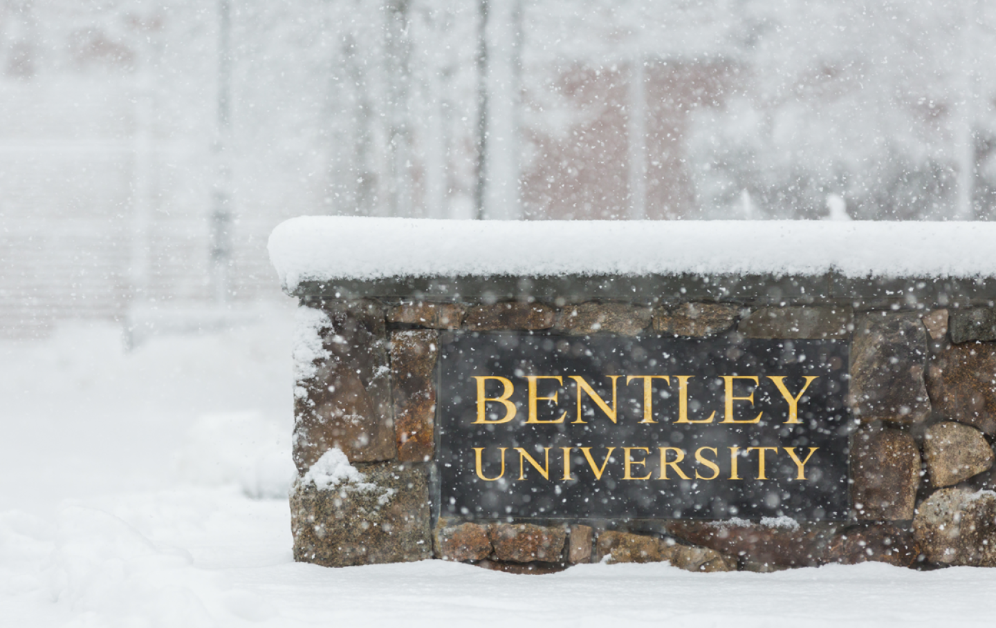 Bentley Entrance in Winter