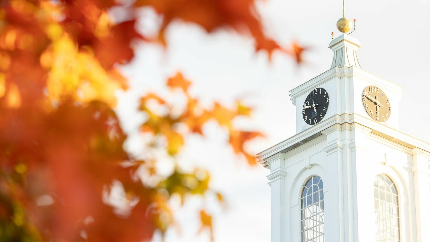 fall foliage tower