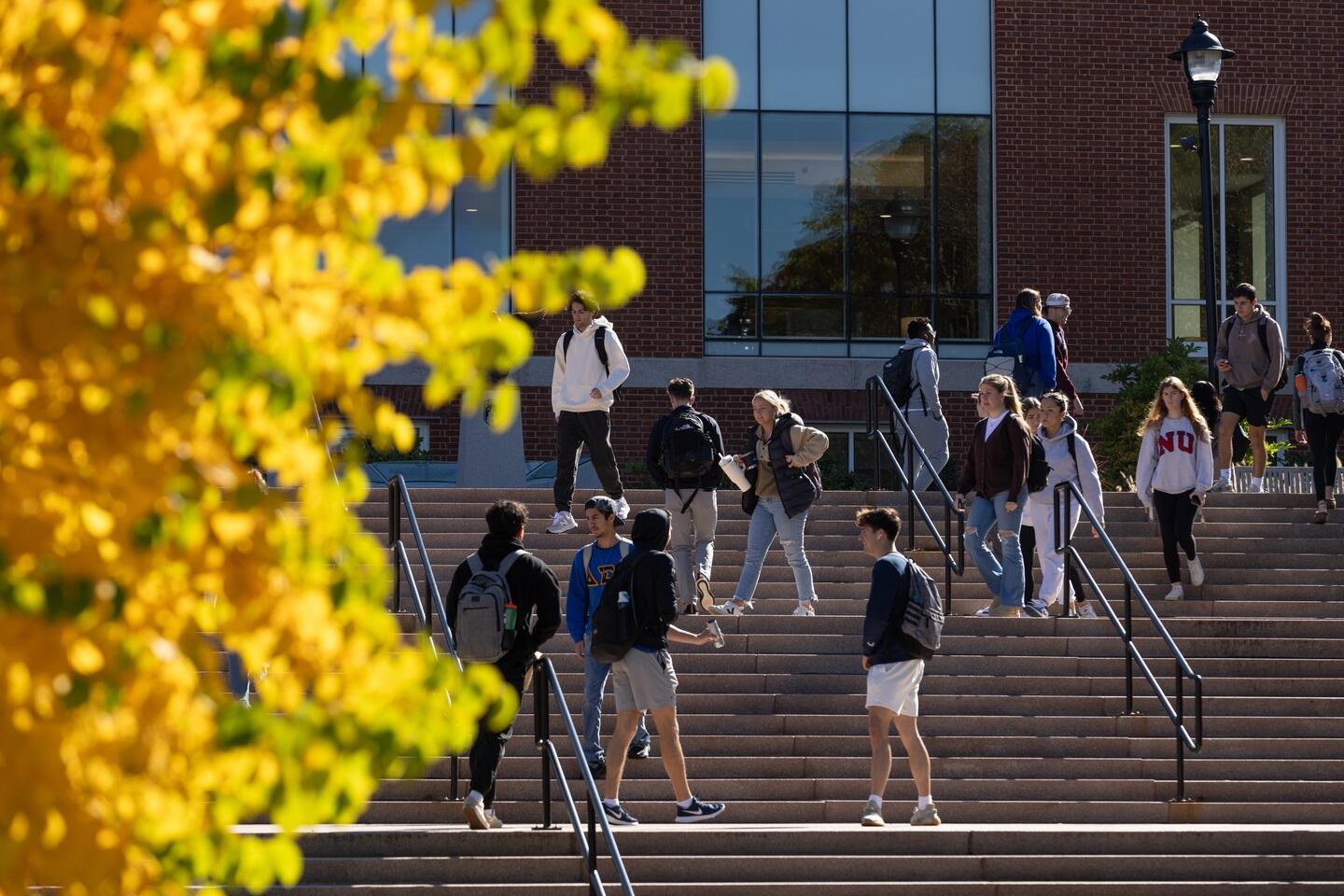 A group of students walking on the Bentley University campus